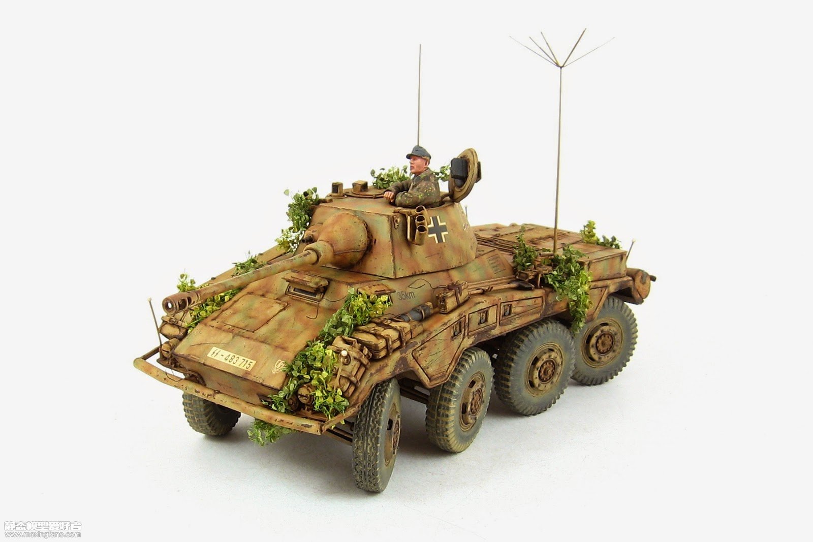 期間限定】 ソ連 1930年 騎兵隊１０周年 D02-052 ヨーロッパ