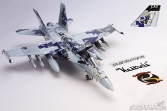 1/48 FA-18E Super Hornet VFA-137 Kestrels CAG 2011--FA-18E超级大黄蜂战斗机