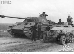 5th SS-Panzer Division ＂Wiking＂