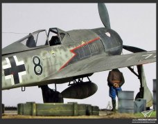 1/48 Black 8 Fw-190A-8R2（牛魔王）