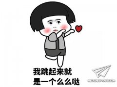 【福利】OMG模型双十一活动开始！