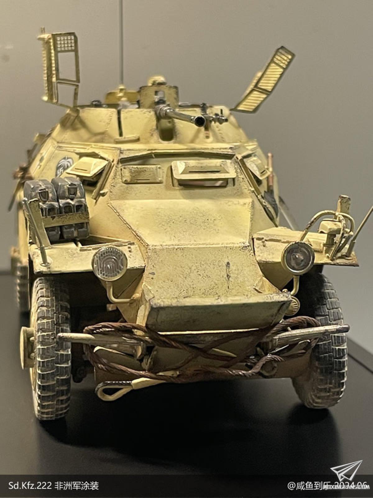 Sd.Kfz.222